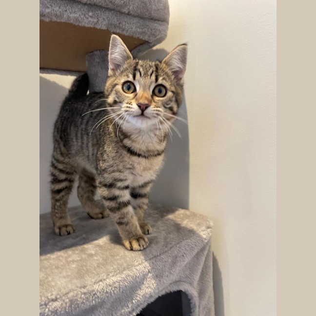 Photo of Nina   Located In Kensington