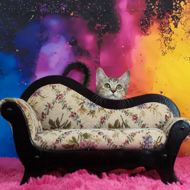 Photo of Donna
