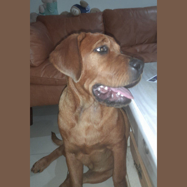 Photo of Bella