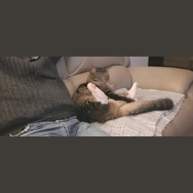 Photo of Tommy