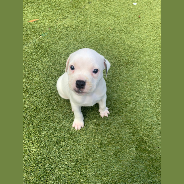 Photo of D1110 Kendrick