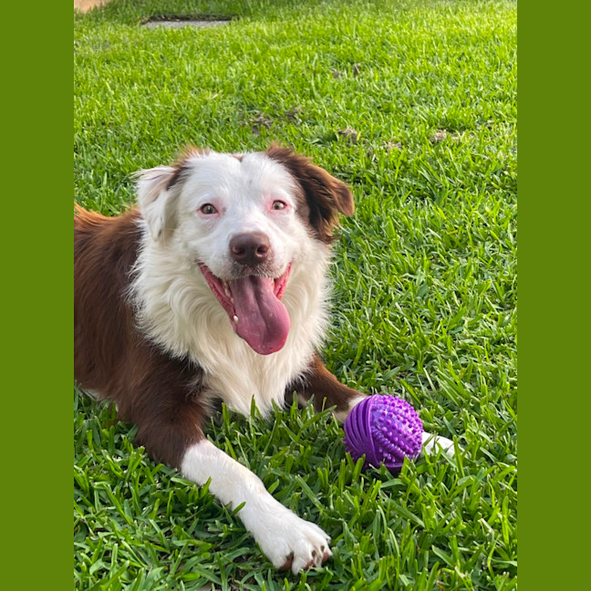 Photo of Hershey