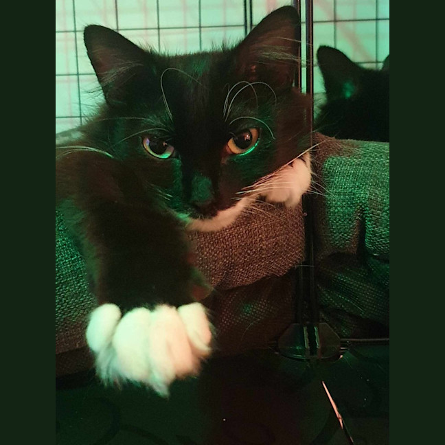 Photo of Cloudy And Midnight
