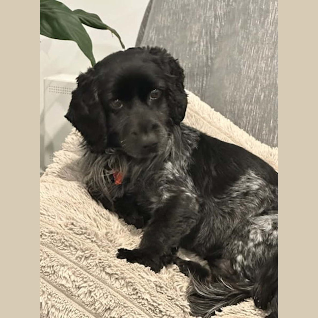Photo of Snugglepot