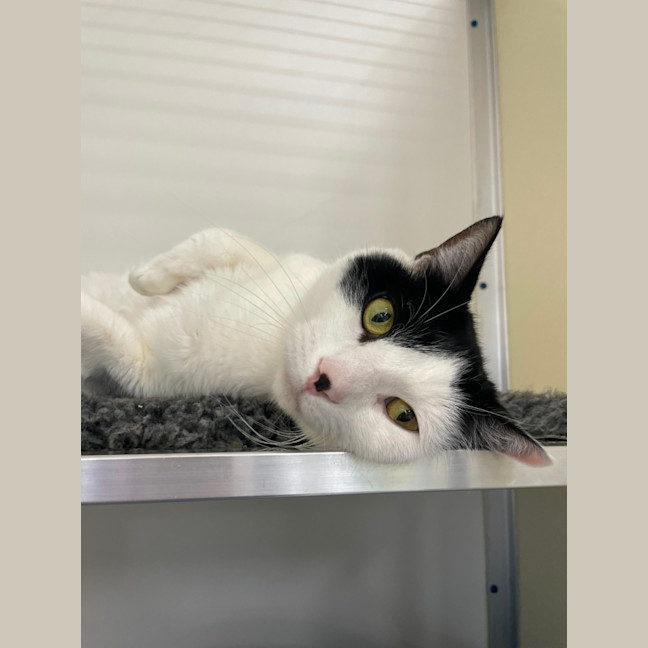 Photo of 🎠 Clancy 5624 🎠