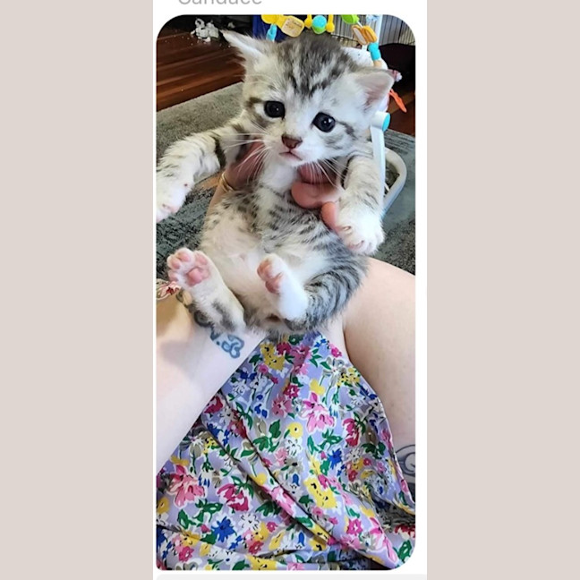 Photo of Poppy