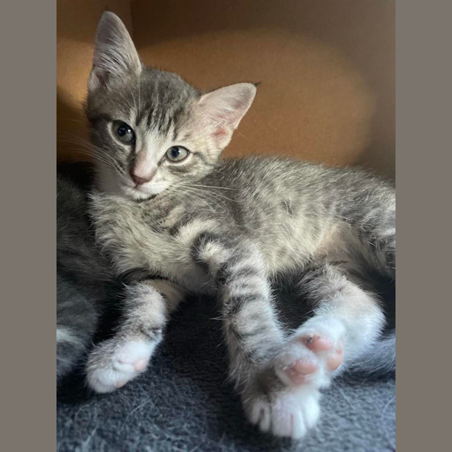 Photo of Lily   Located In Bentleigh East