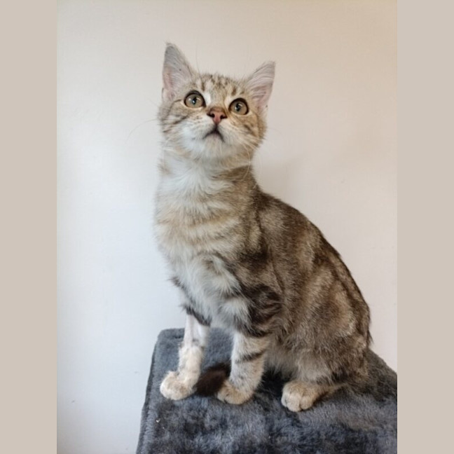 Photo of Jasper