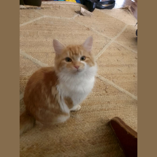 Photo of Hissy Miggins