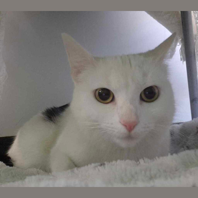 Photo of Queen Elinor 