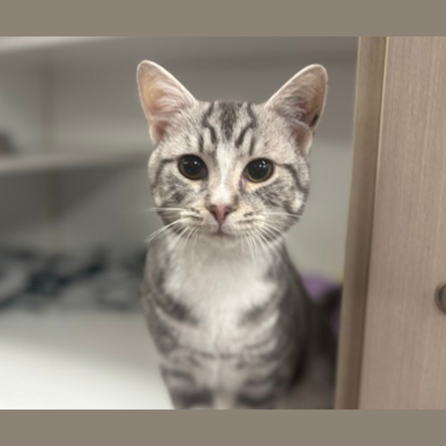 Photo of Mimi
