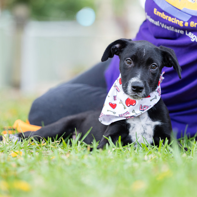 Photo of Captain Isaac Higgintoot
