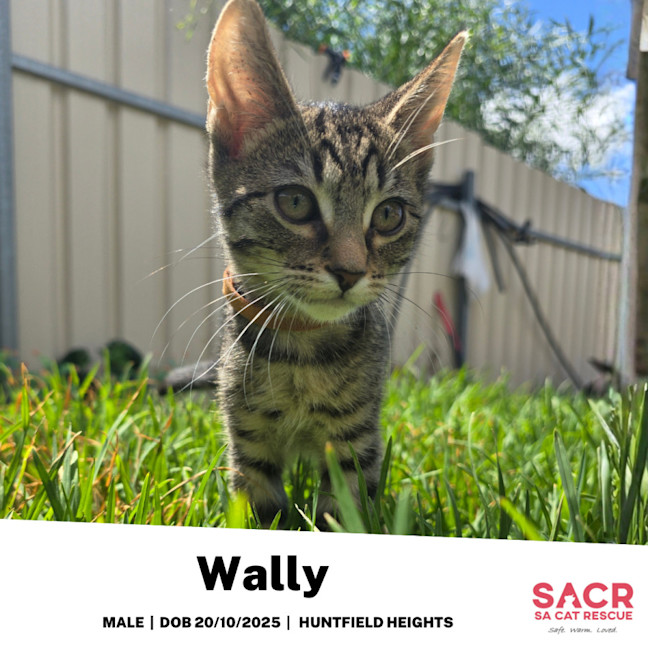 Photo of Wally