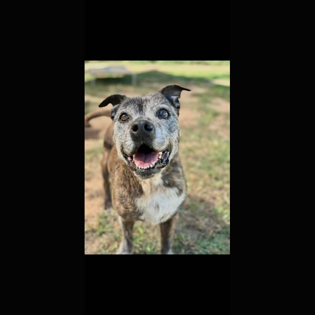Photo of Peta