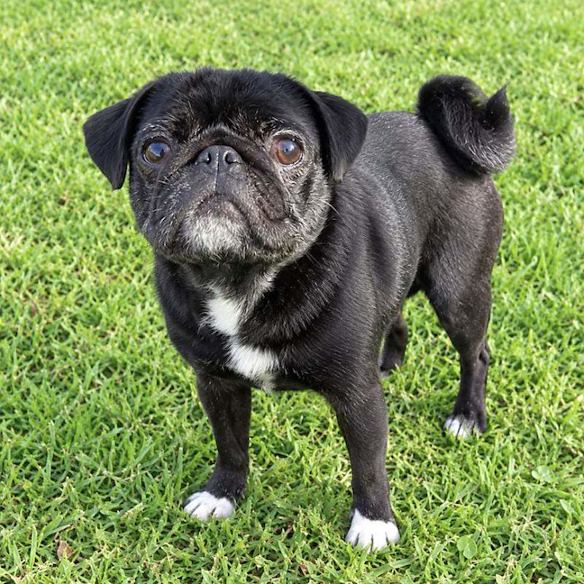 Photo of Bella
