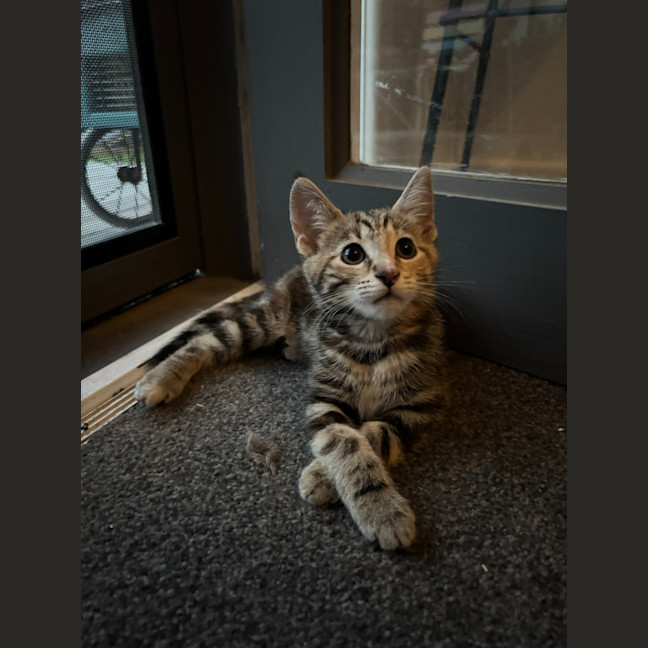 Photo of Marcie