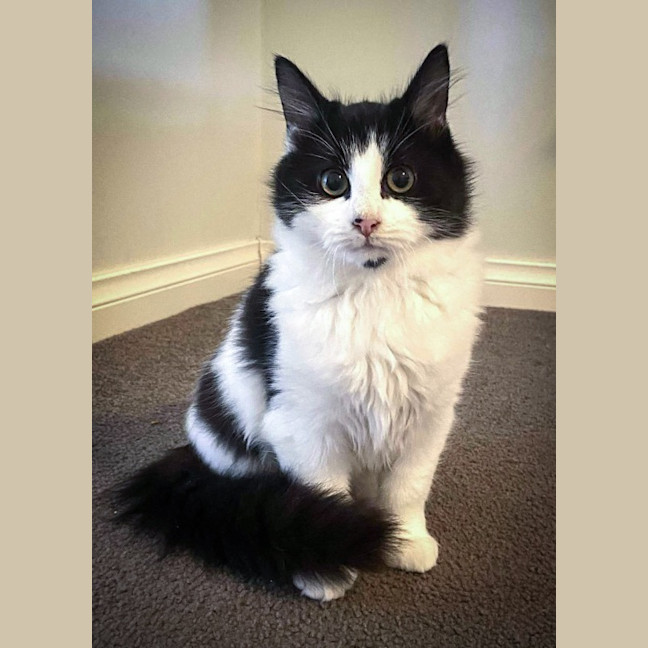 Photo of Maggie