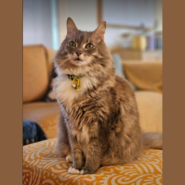 Photo of Klaus