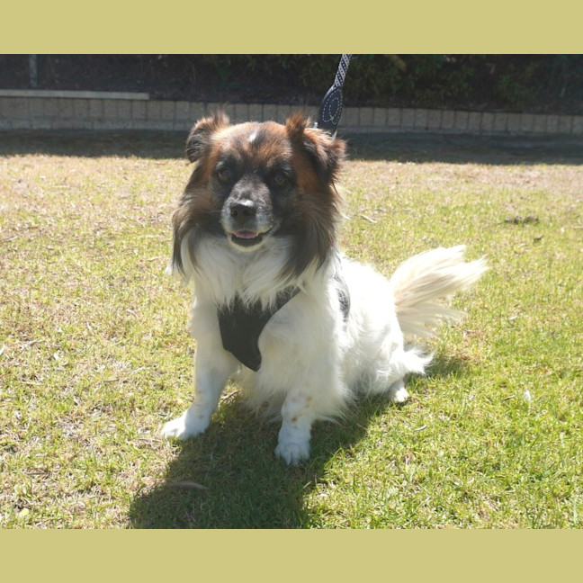 Photo of Bodie