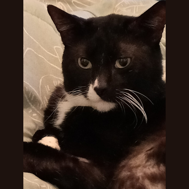 Photo of George