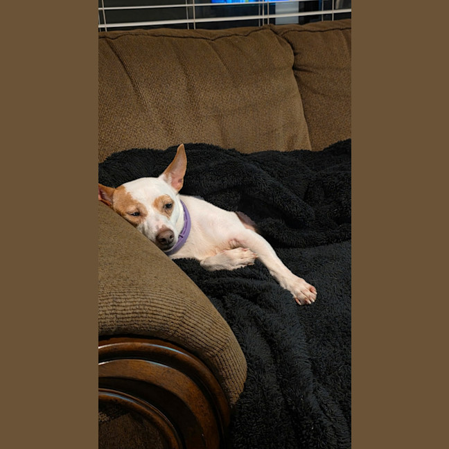Photo of Jack 