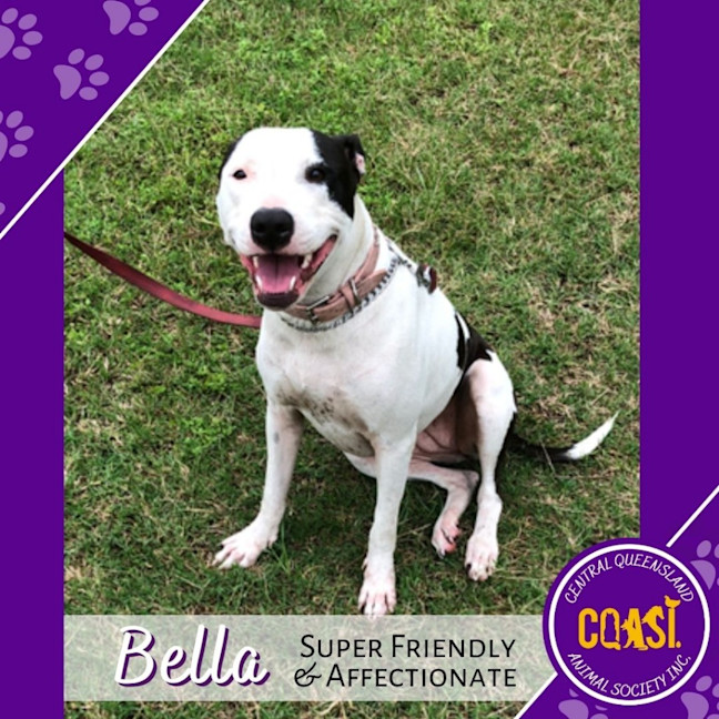 Photo of Bella