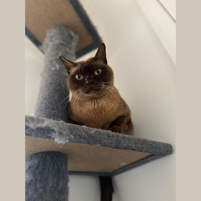 Photo of 🪕Banjo🪕