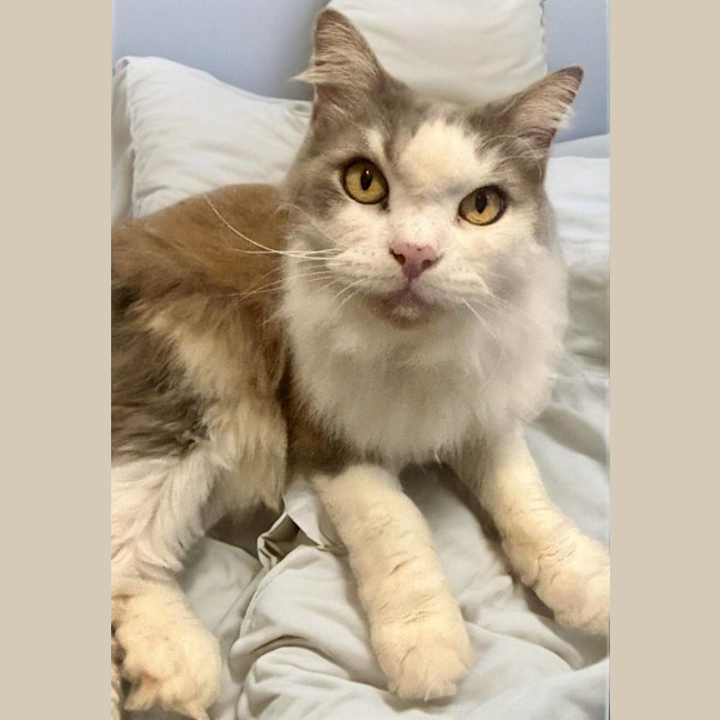 Photo of Knucker & Moley