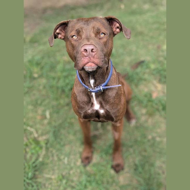 Photo of Lulu
