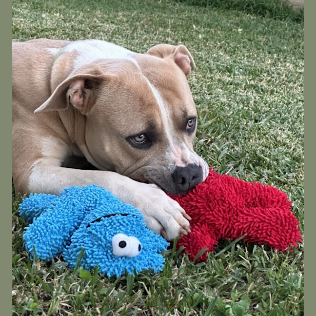 Photo of Zeus