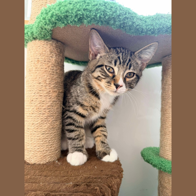 Photo of Gary & Harriet 