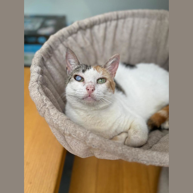 Photo of Molly