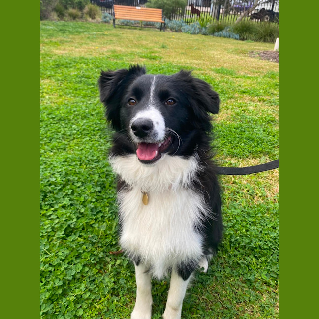 Photo of Lilly
