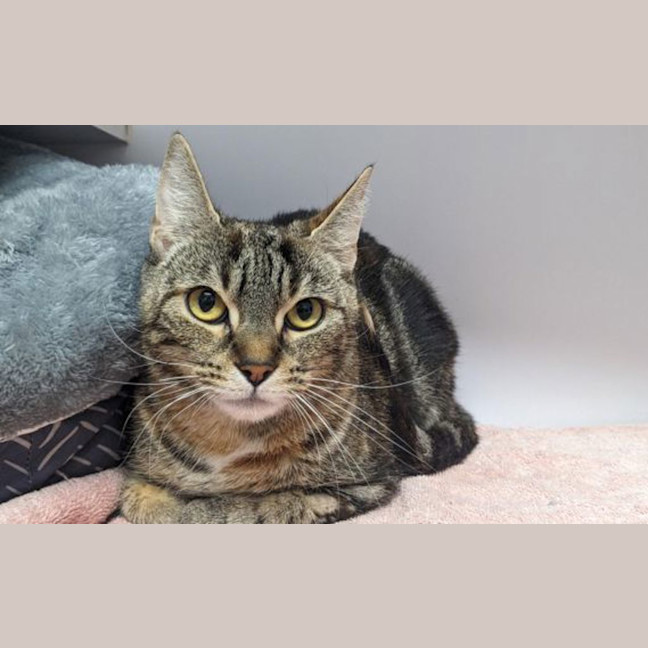 Photo of Meredith