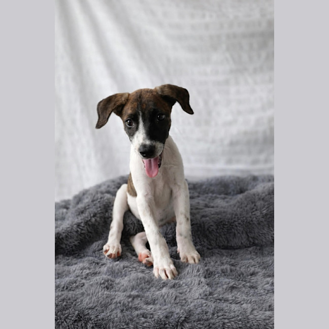 Photo of Lucky Lucy