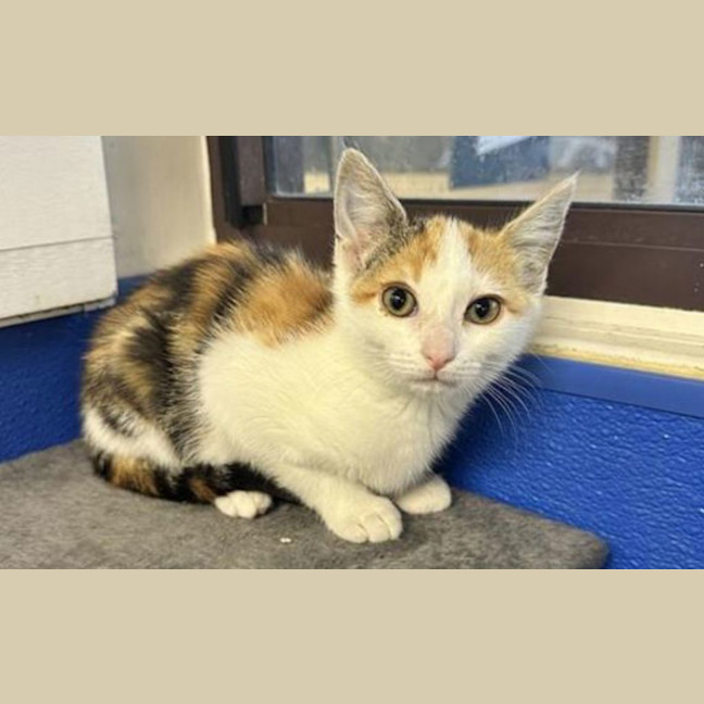 Photo of Cleo