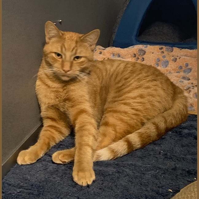 Photo of Fergus