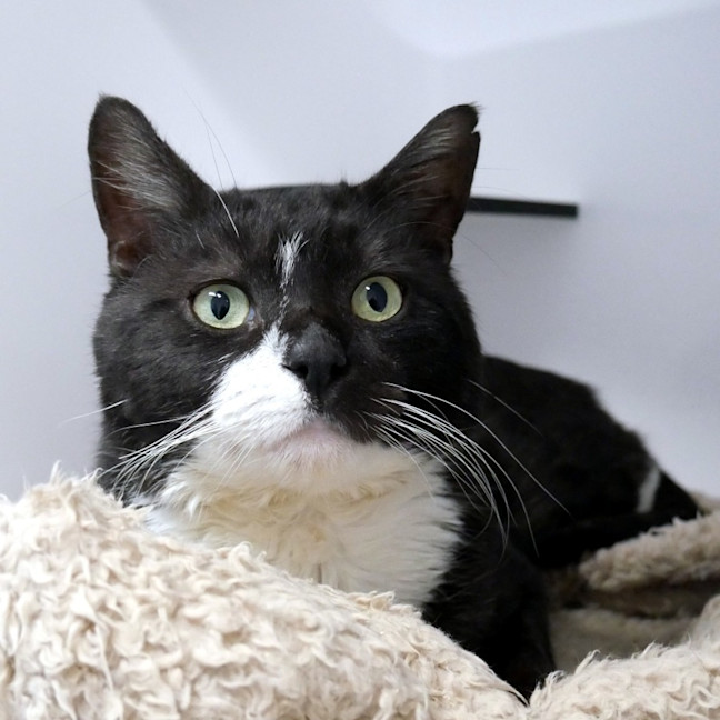 Photo of Bob Sta015336