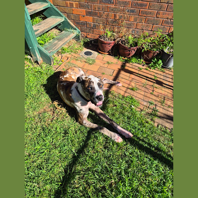 Photo of Hercules