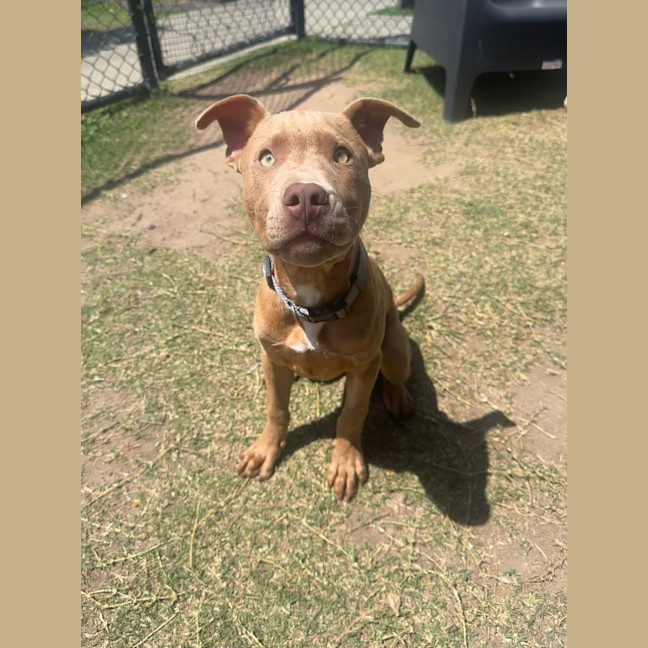 Photo of Zeus