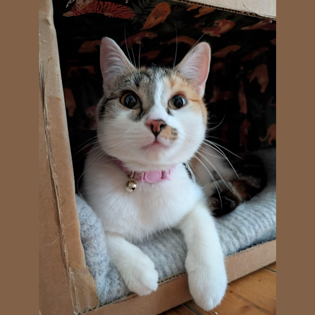 Photo of Aiko And Emiri 🌺💙