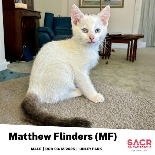 Photo of Matthew Flinders (Mf)