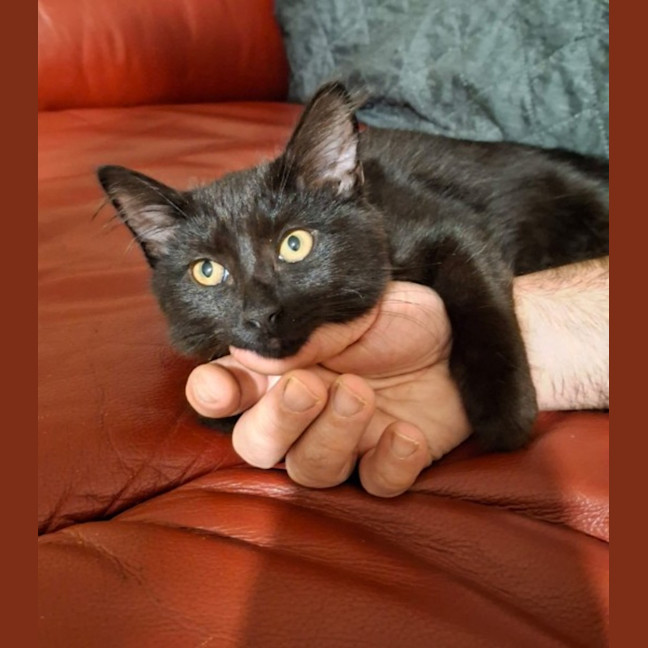 Photo of Salem