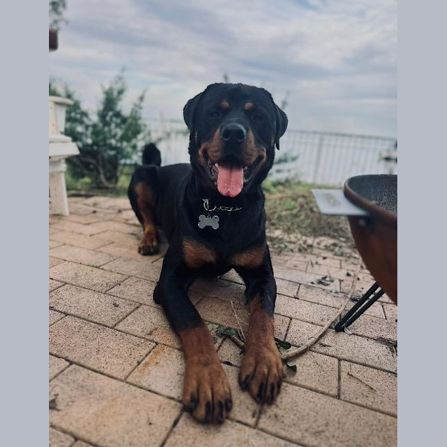 Photo of Murphy