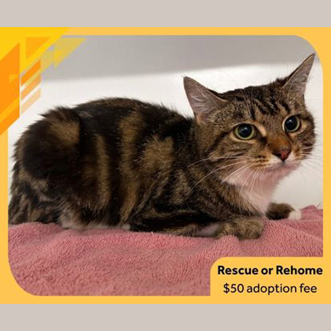 Photo of Bertha
