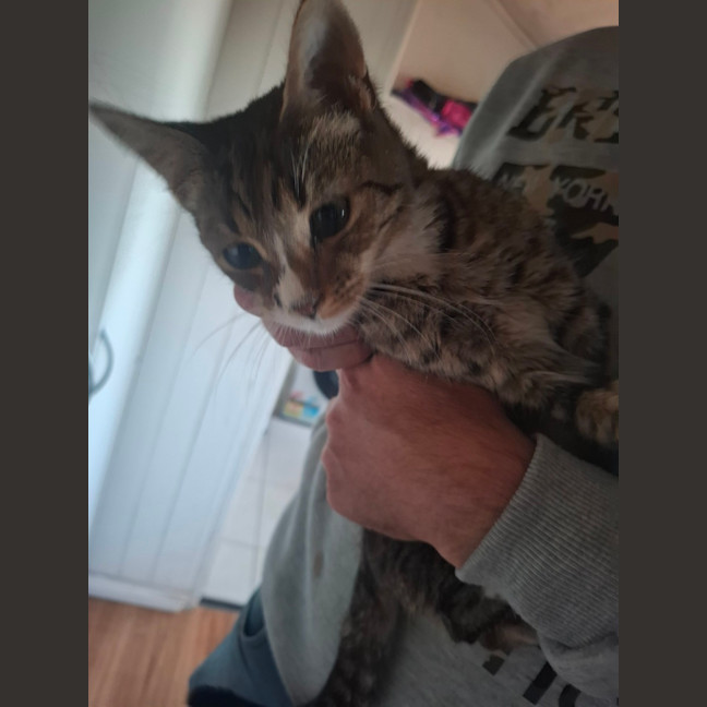 Photo of Buddy