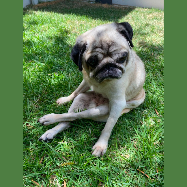 Photo of Blossom 🌸