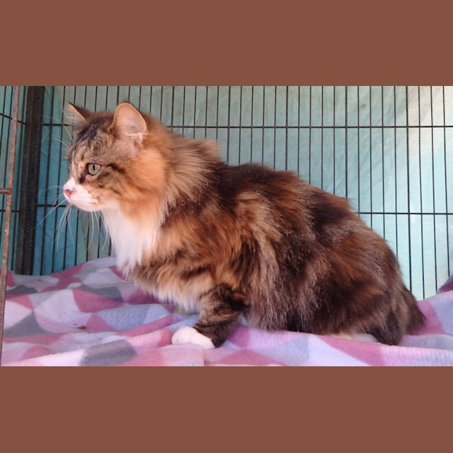 Photo of Hazel And Hannah