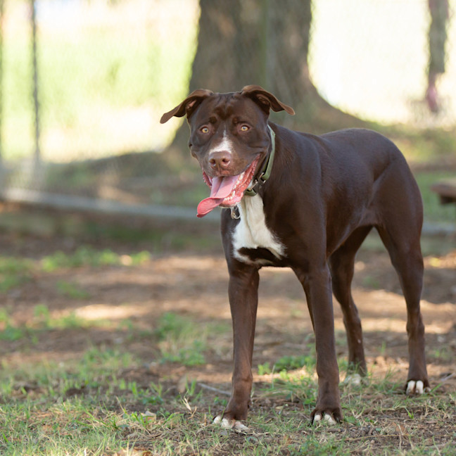 Photo of Molly