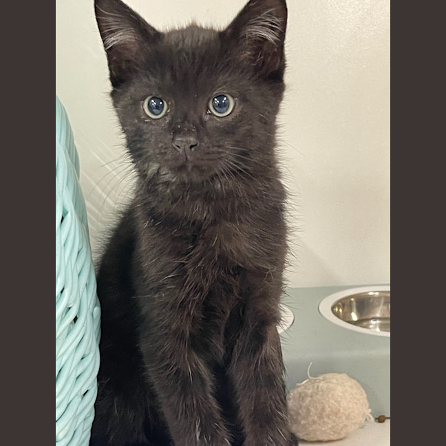 Photo of Fiyero
